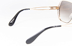 ANELA P01 new
